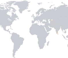 Top 10 Non-Governmental Organizations worldwide
